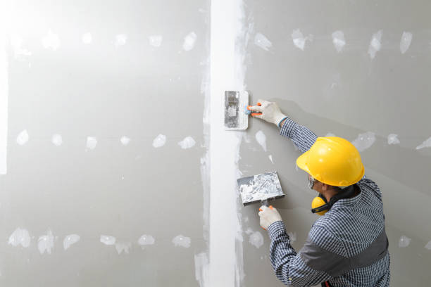 Best Drywall Sanding and Smoothing  in Central, LA